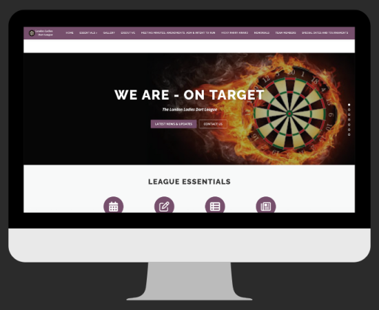 London Ladies Dart League - Community Organization darts